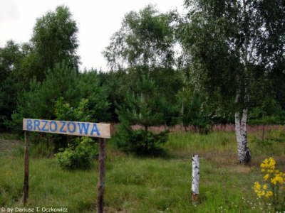 ul. Brzozowa